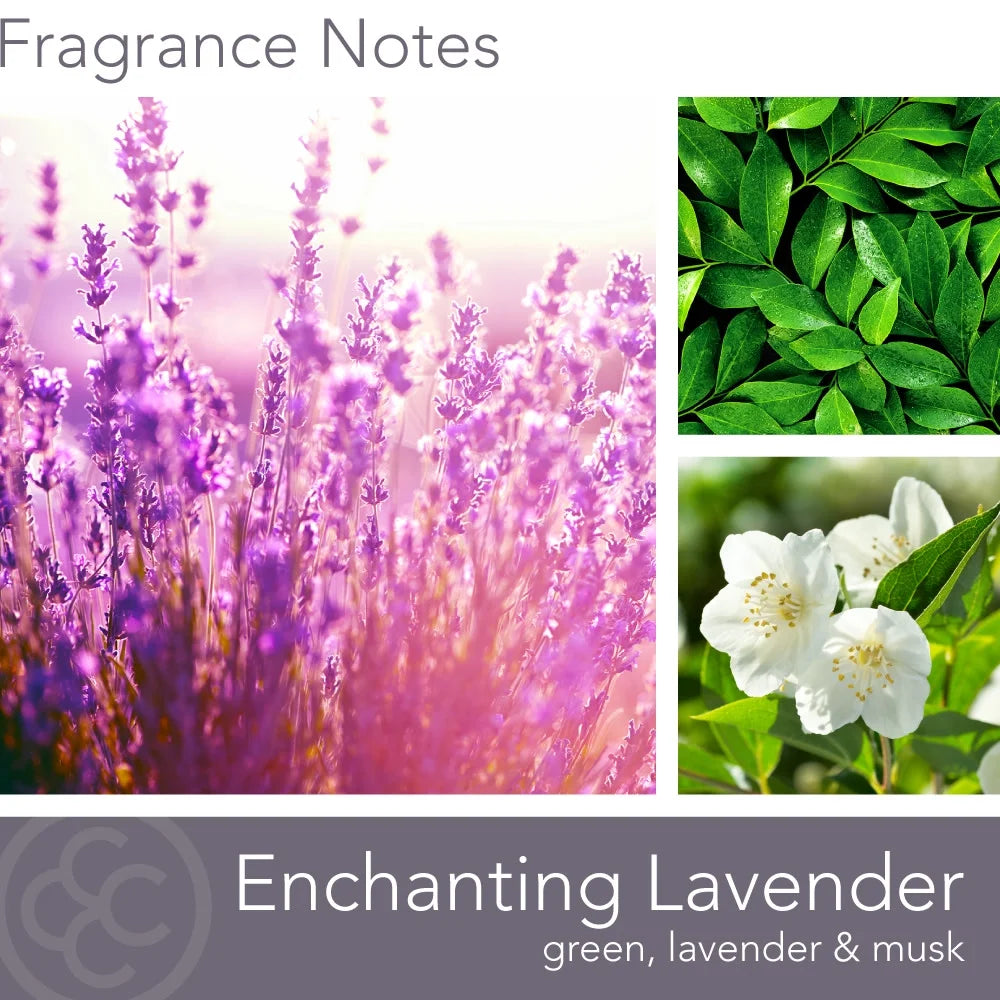 Enchanting Lavender 16 Oz Aromatherappy Candle, White