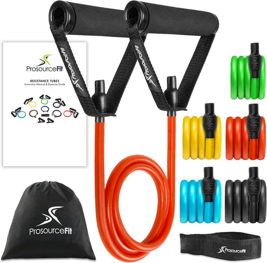 Single Stackable Resistance Bands with Door Anchor and Exercise Guide